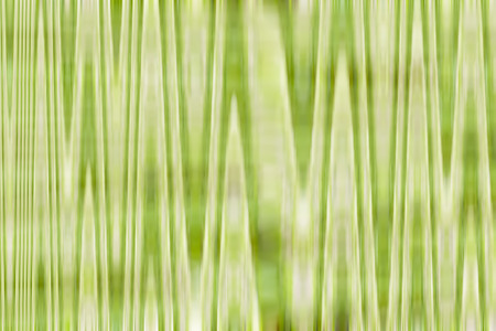 multicolor abstract background