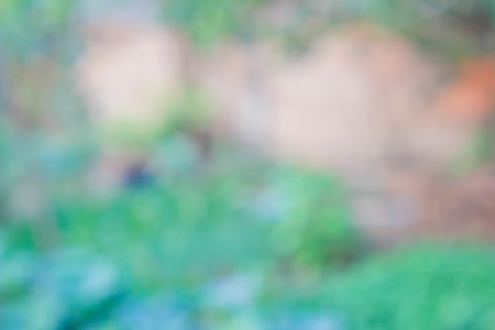 abstract blur background with bokeh defocused lightsの写真素材