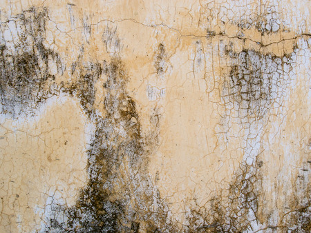 old cement wall texture