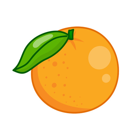 Orange isolated illustration on white backgroundのイラスト素材
