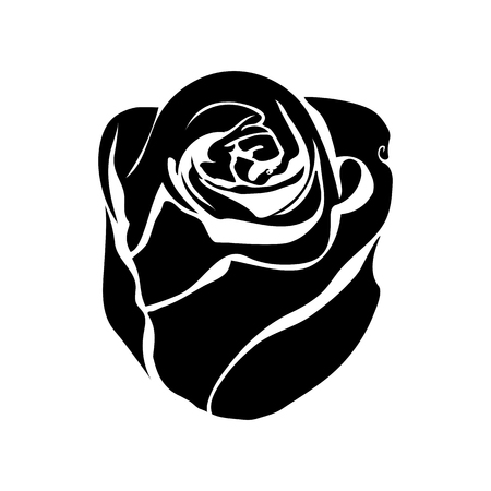 rose silhouettes isolated illustration on white backgroundのイラスト素材