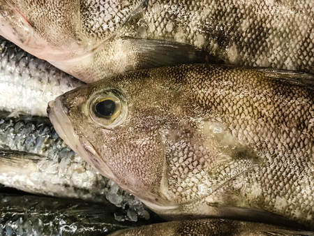 Fresh fish on ice at the marketの写真素材