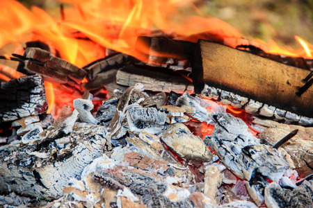 Flame of Fire from Firewood bonfire