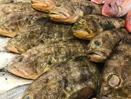 Fresh fish on ice at the market