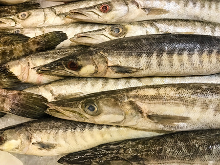 Fresh fish on ice at the marketの写真素材