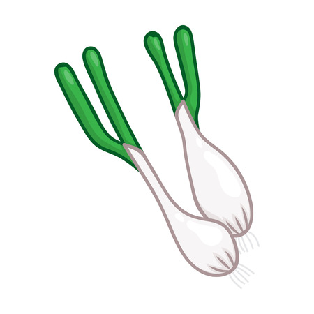 Green onion isolated illustration on white backgroundのイラスト素材