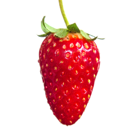 Strawberry isolated on white backgroundの写真素材