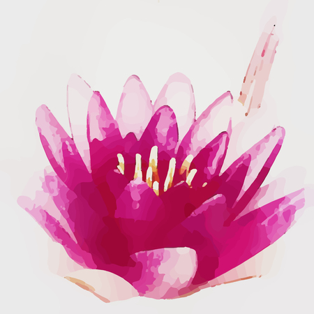 lotus watercolor vector illustrationのイラスト素材
