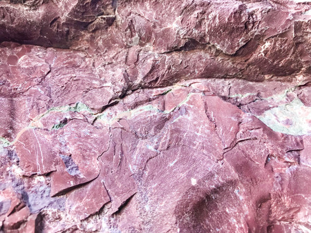 close up rock stone texture backgroundの写真素材