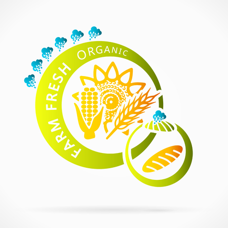 Organic grains, farm fresh abstract illustrationのイラスト素材