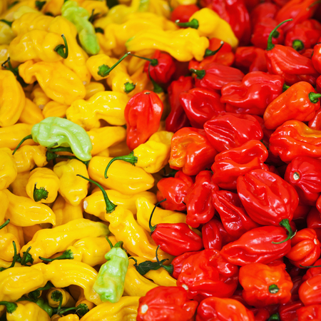 radiant red and yellow colors of peppers at a street market