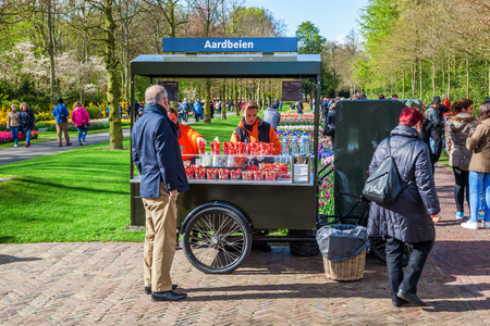 Lisse, Netherlands - April 23, 2016: Keukenhof with unidentified people. It is one of the worlds largest flower gardens. Approximately 7 million flower bulbs are planted annually in the parkのeditorial素材