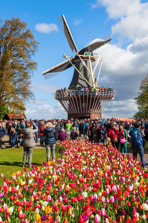Lisse, Netherlands - April 23, 2016: Keukenhof with unidentified people. It is one of the worlds largest flower gardens. Approximately 7 million flower bulbs are planted annually in the parkのeditorial素材