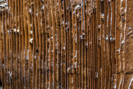 picture of weathered wood for background texture