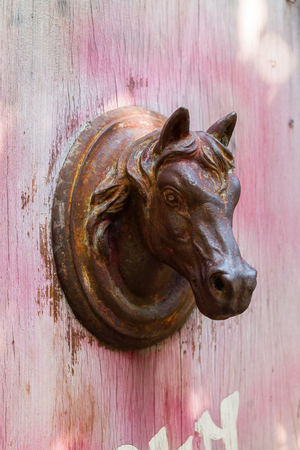 rusted horse head as doorknob on an old wooden doorの写真素材