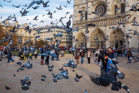Paris, France - October 15, 2016: doves and unidentified tourists in front of the Notre Dame de Paris. It is among the largest and most well-known church buildings in the world.のeditorial素材