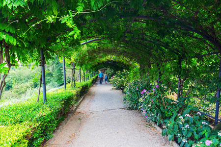 Florence, Italy - July 06, 2016: Tree Tunnel in the Giardino Bardini in Florence. Its an Italian Renaissance garden opened only recently to the public, it is relatively little-known.のeditorial素材