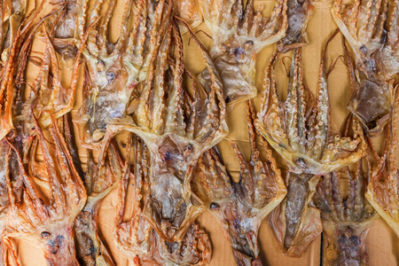 squids put down to dry in Tai O, Lantau Island, Hongkongの写真素材