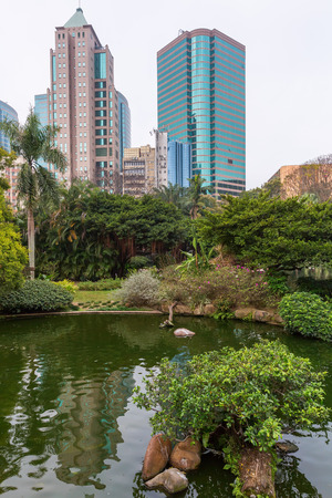 picture of skyscrapers in Hong Kong seen from Kowloon Parkのeditorial素材