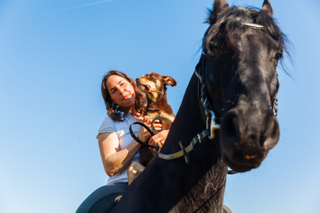woman sitting with a dog on a Friesian horseの写真素材
