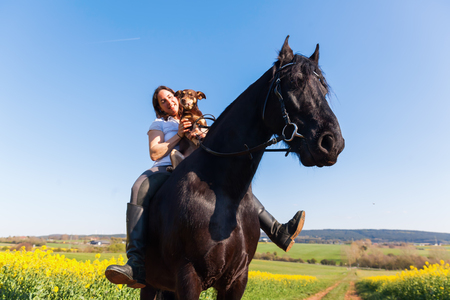 woman sitting together with dog on a Friesian horseの写真素材