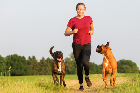 teenage girl playing with boxer dogs in the fieldの写真素材