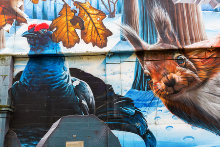 Glasgow, UK - September 12, 2016: street art in Glasgow. Street art has moved from the beginnings of graffiti and vandalism to new modes where artists show messages or beauty of their artのeditorial素材