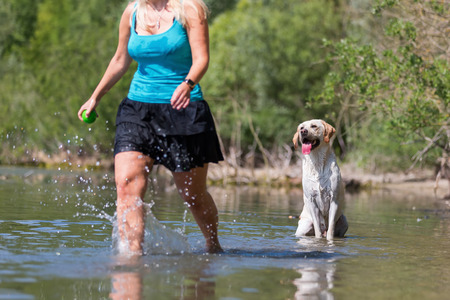 mature woman plays with a labrador retriever in the lakeの写真素材