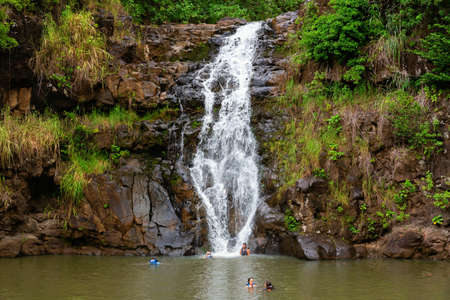 Haleiwa, Oahu, Hawaii, US - November 06, 2019: waterfall in the botanical garden of Waimea Valley with unidentified people. Waimea Valley is a historical nature park including botanical gardenのeditorial素材