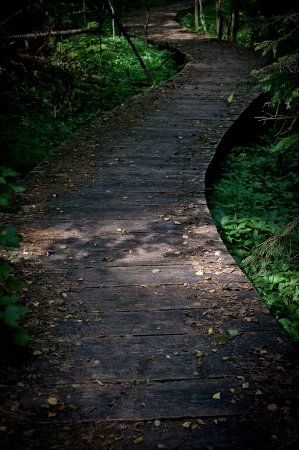 Wooden footbridgeの写真素材