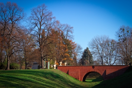 City park in autumnの写真素材