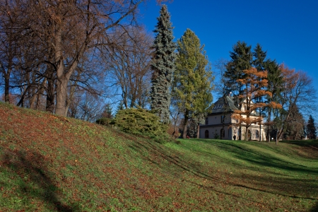 City park in autumnの写真素材