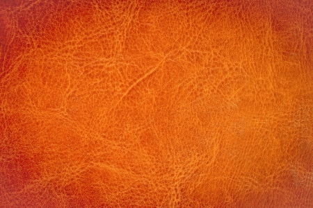 Brown leather background or textureの写真素材