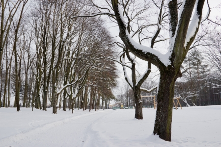 City park covered with snowの写真素材