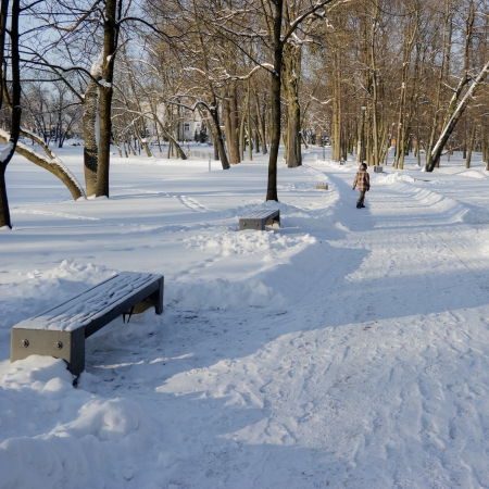 City park covered with snowの写真素材