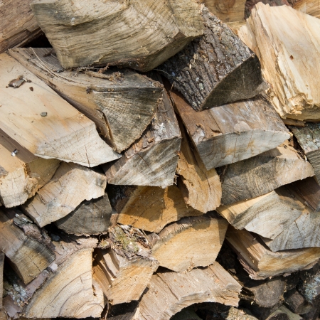 Pile of wood logs ready for winterの写真素材