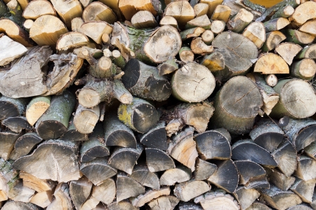 Pile of wood logs ready for winter の写真素材