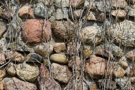 An old boulder stone wall の写真素材
