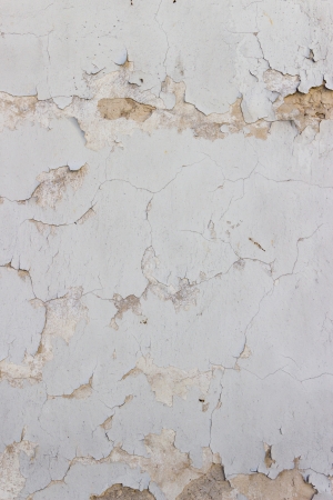 Stucco wall background or textureの写真素材