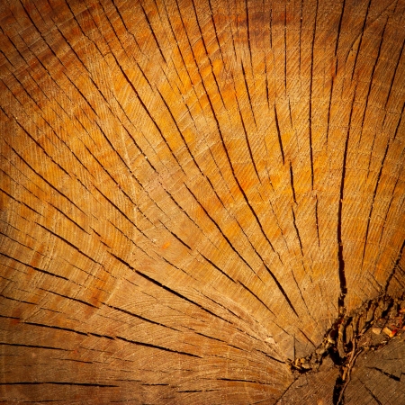 Wood texture with focus on the woodの写真素材