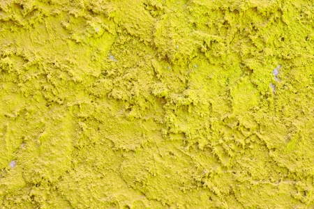 Old stucco wall background or textureの写真素材