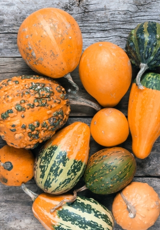 Pumpkins on a wooden table , backrounds 
