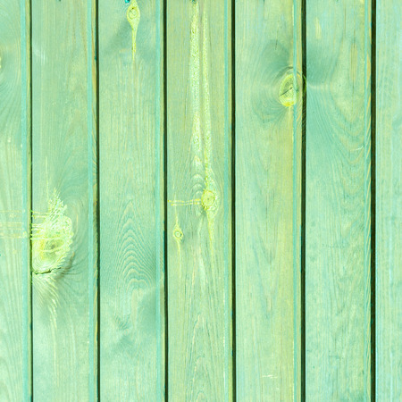 The green wood texture with natural patterns