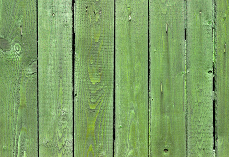The green wood texture with natural patternsの写真素材