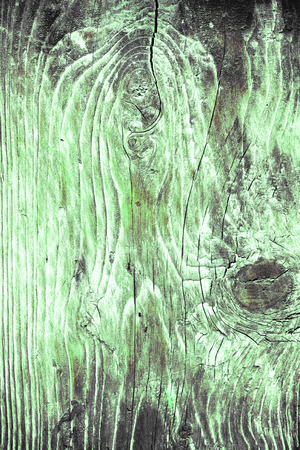 The old wood texture with natural patterns