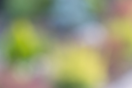Color blurs used as backgroundの写真素材