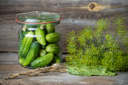 Jars of pickled marinated cucumbers on rustic table の写真素材