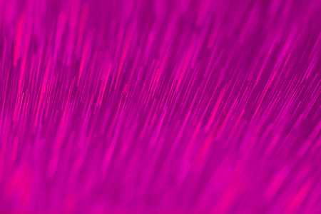 Abstract twinkled bright background with bokeh defocused lights.の写真素材