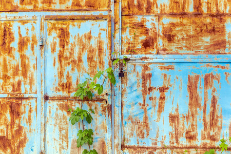 Old painted metal door with traces of rust and cracks.の写真素材