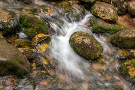 Mountain stream with stones with clear water.